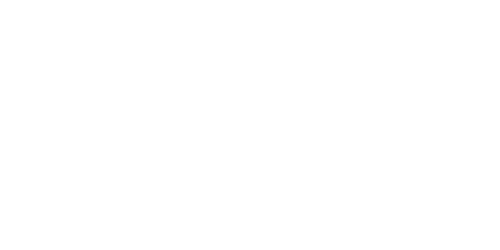 Kawasaki_N