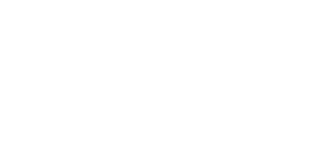 Puma_N